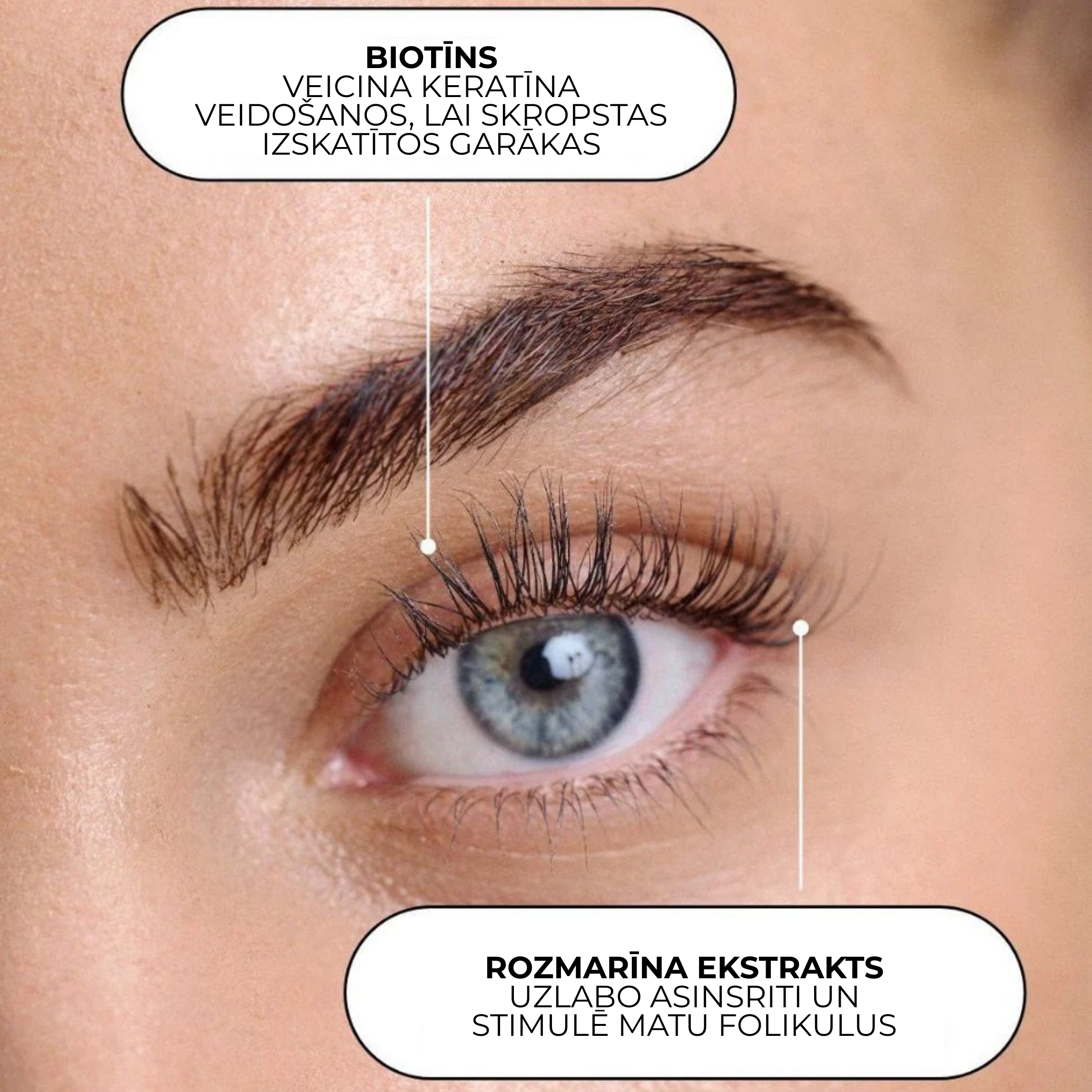 XLASH Skropstų Serumas - skropstų serumas, 5 ml