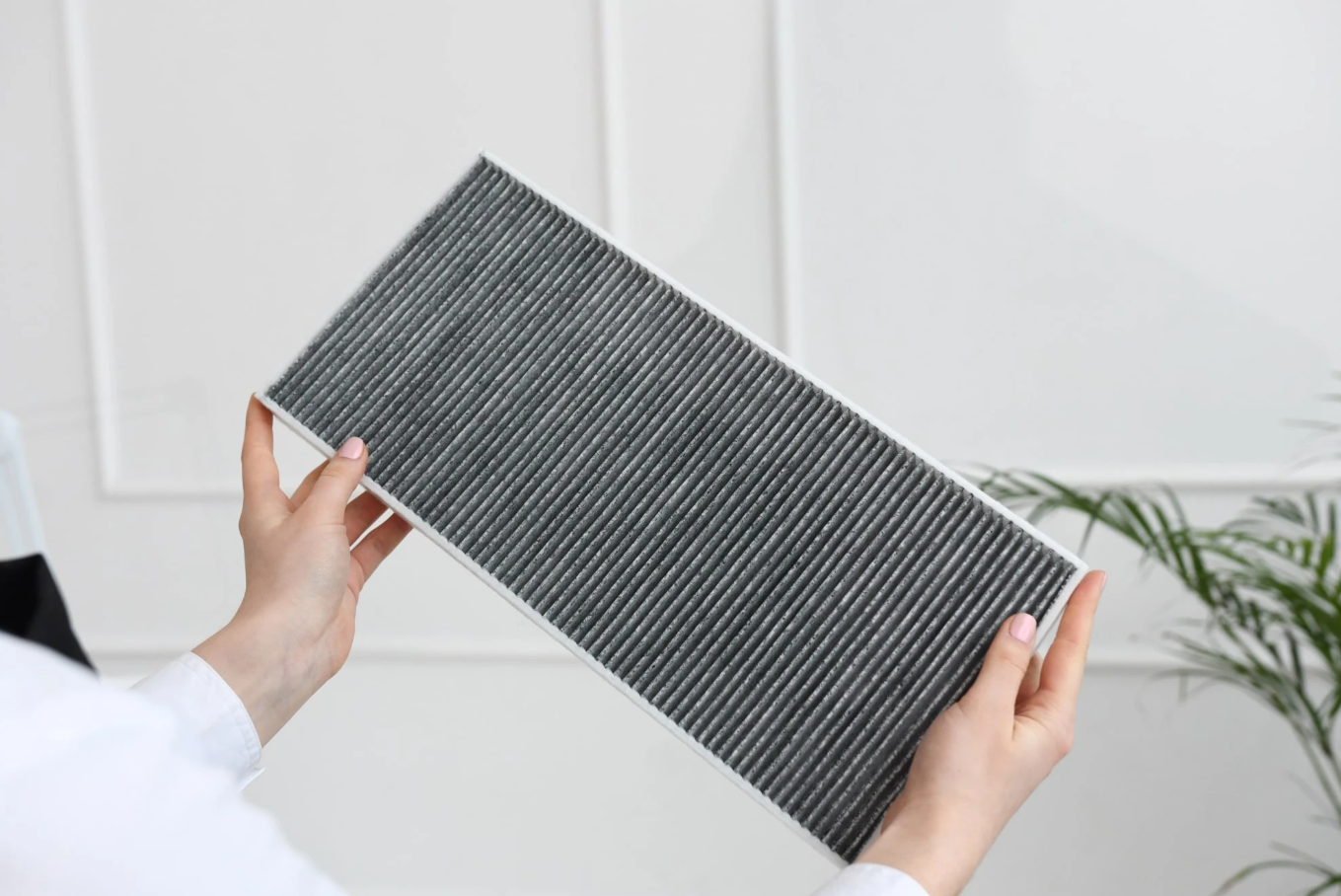 Afinia карбоновый фильтр для пылесборника NDC PODO