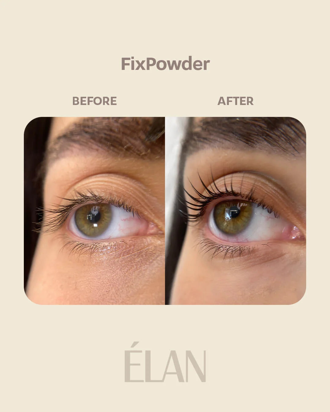 ELAN „FixPowder“ blakstienų pakėlimo fiksavimo pudra, 9 g